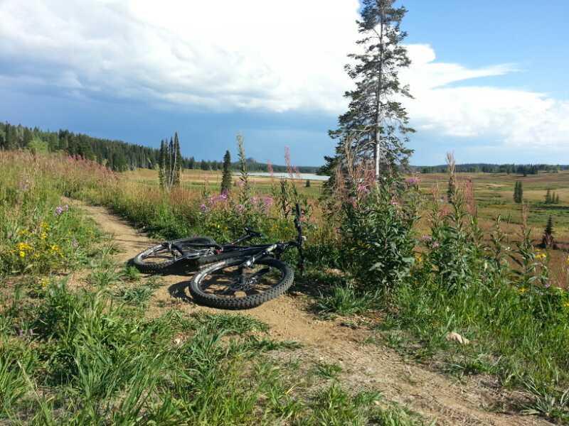 A black mountain bike lies on a dirt trail surrounded by tall grass and wildflowers, under a partly cloudy sky. In the background, a scenic open field and a row of trees can be seen, indicating a tranquil outdoor environment. CDT / Wyoming Trail #1101: Dumont Lake to Buffalo Pass mountain bike trail.