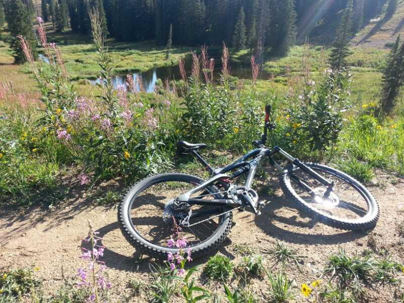 A black mountain bike resting on a dirt trail surrounded by colorful wildflowers, with a serene pond and green landscape in the background under bright sunlight. CDT / Wyoming Trail #1101: Dumont Lake to Buffalo Pass mountain bike trail.