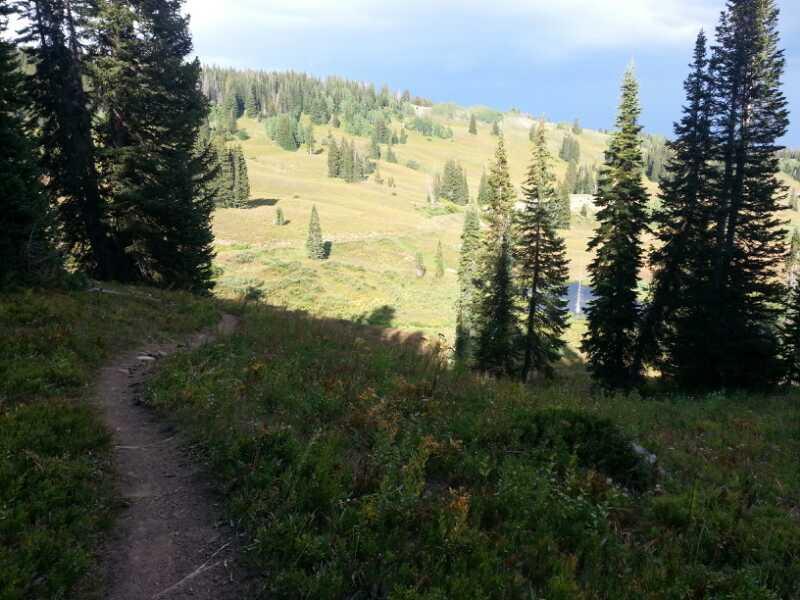 A winding dirt path leads through a lush green landscape with tall trees on either side. In the background, rolling hills are dotted with patches of trees, under a partly cloudy sky. The scene evokes a sense of tranquility and natural beauty. CDT / Wyoming Trail #1101: Dumont Lake to Buffalo Pass mountain bike trail.
