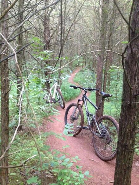 Two mountain bikes are parked beside a narrow dirt trail winding through a dense forest of trees and greenery. The trail is surrounded by tall, slender tree trunks and lush foliage, creating a serene, natural setting. Six Mile Run mountain bike trail.