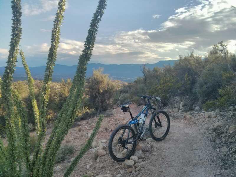 A mountain bike parked on a dirt trail surrounded by desert flora, with distant mountains and a cloudy sky in the background. Raptor / Thumper / Kiln Loop mountain bike trail.