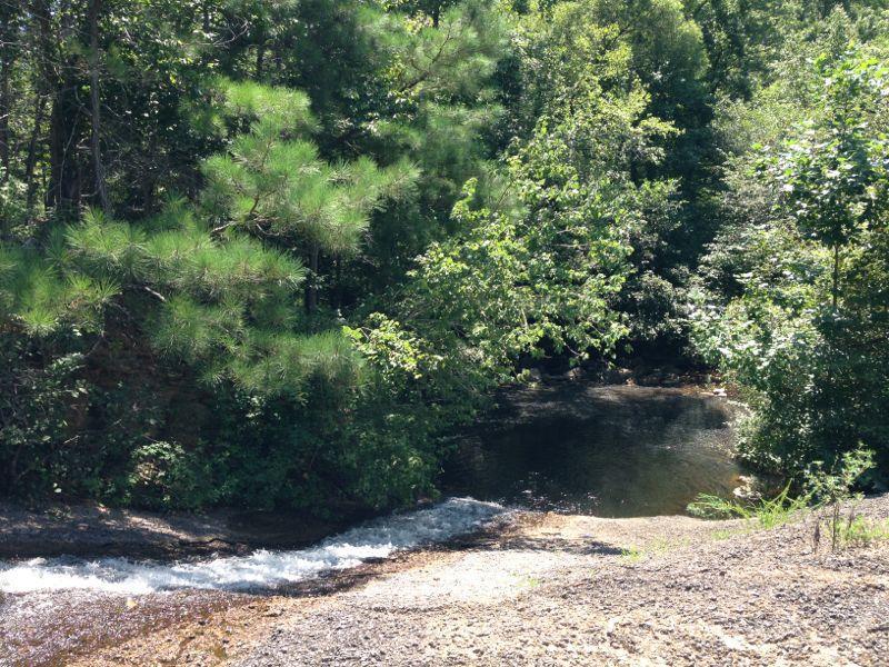 A serene natural scene featuring a small creek flowing over rocks into a calm pool, surrounded by lush green trees and foliage. Sunlight filters through the leaves, creating a peaceful atmosphere in the forest setting. Coleman Lake Yellow Trail mountain bike trail.