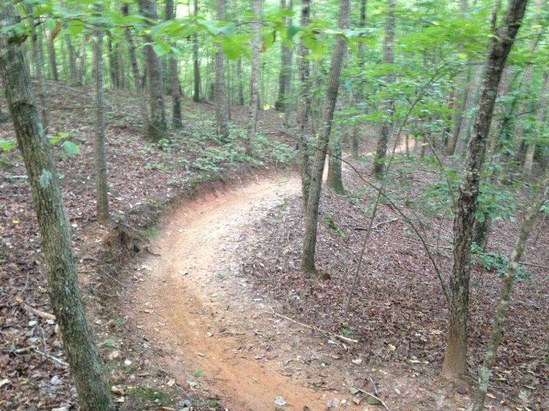 A winding dirt trail curves through a lush green forest with tall trees and a carpet of leaves on the forest floor. Chicopee Woods mountain bike trail.