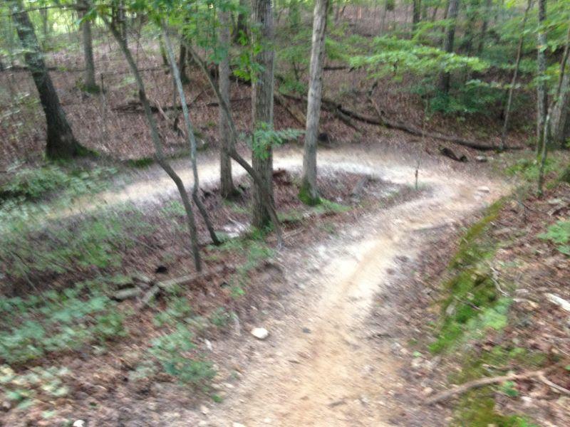 A winding dirt path through a forest, surrounded by trees and scattered leaves, illustrating a serene natural landscape. Chicopee Woods mountain bike trail.