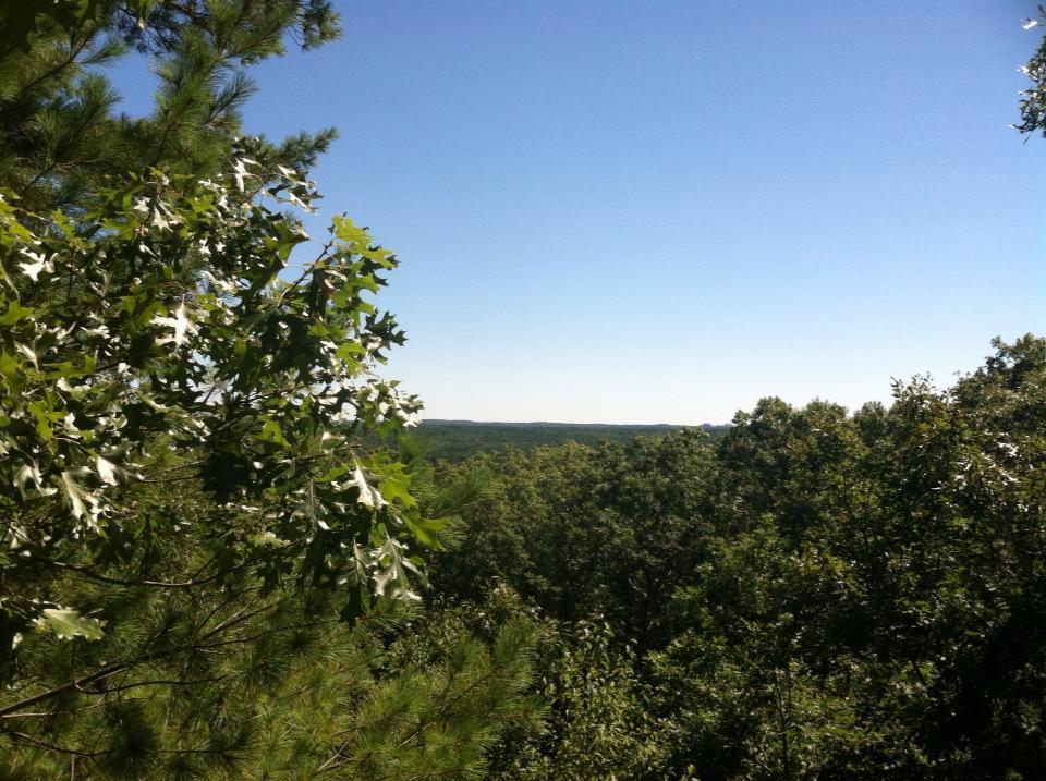 A panoramic view showcasing a clear blue sky over a lush green landscape, with various trees in the foreground, suggesting a serene natural setting. Noon Hill Reservation mountain bike trail.