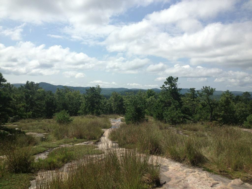 A panoramic view of a hilly landscape with green trees and grassy areas, under a partly cloudy sky. The rocky terrain is visible in the foreground, leading into a dense forest and distant rolling hills. Cedar Rock Trail #16 mountain bike trail.