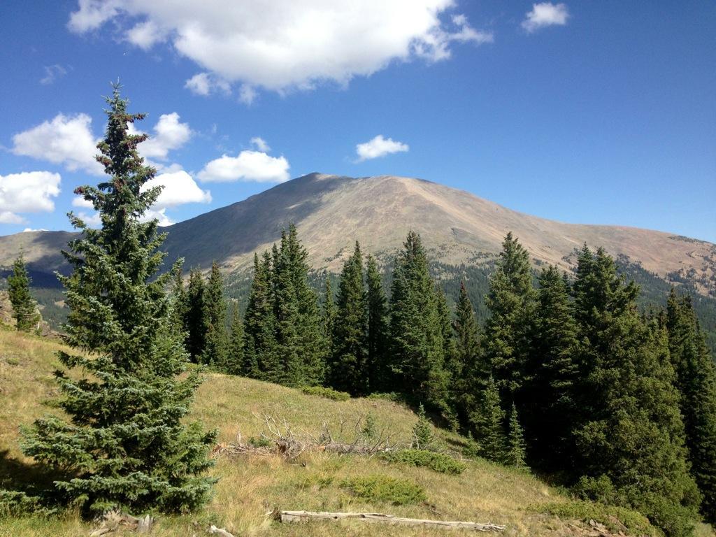 A scenic view of a mountain rising in the background, surrounded by green coniferous trees, against a backdrop of a clear blue sky with fluffy white clouds. The foreground features a grassy area with some patches of shrubbery. Starvation Creek mountain bike trail.