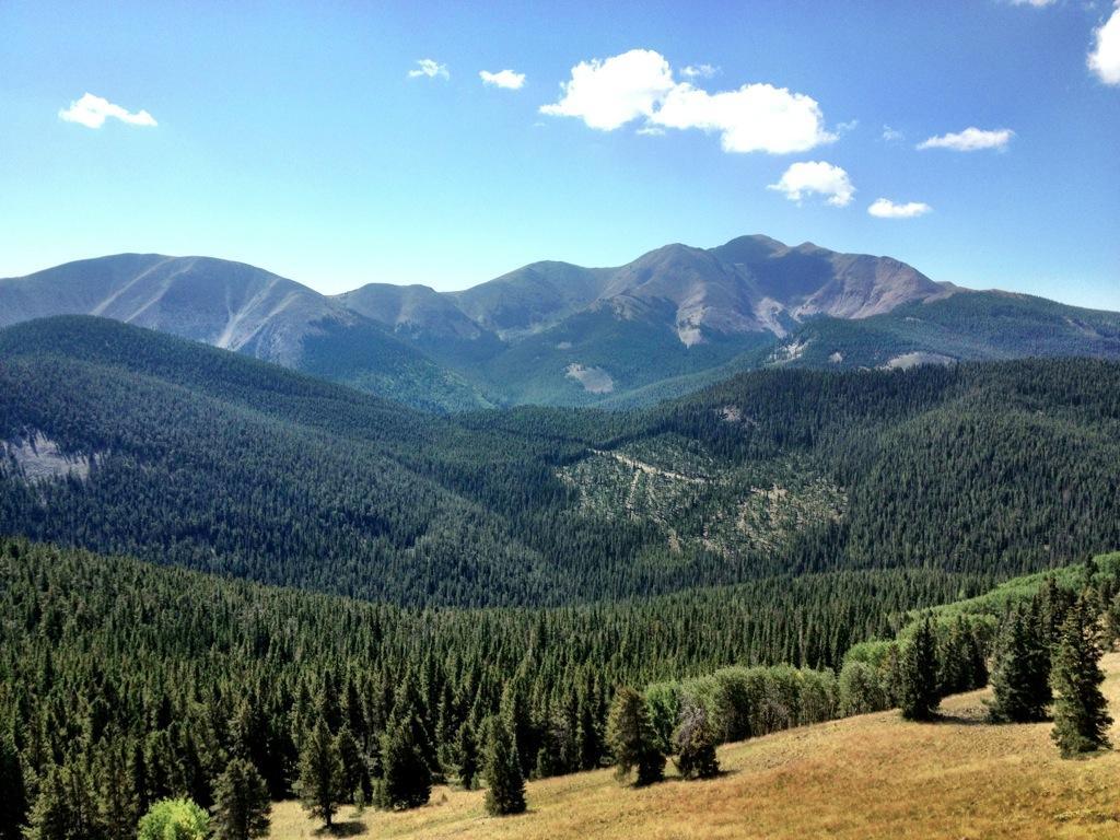 A scenic view of rolling mountains covered in lush green forests under a clear blue sky, with a few fluffy clouds scattered above. The landscape features peaks in the background and a variety of trees in the foreground, creating a tranquil natural setting. Starvation Creek mountain bike trail.