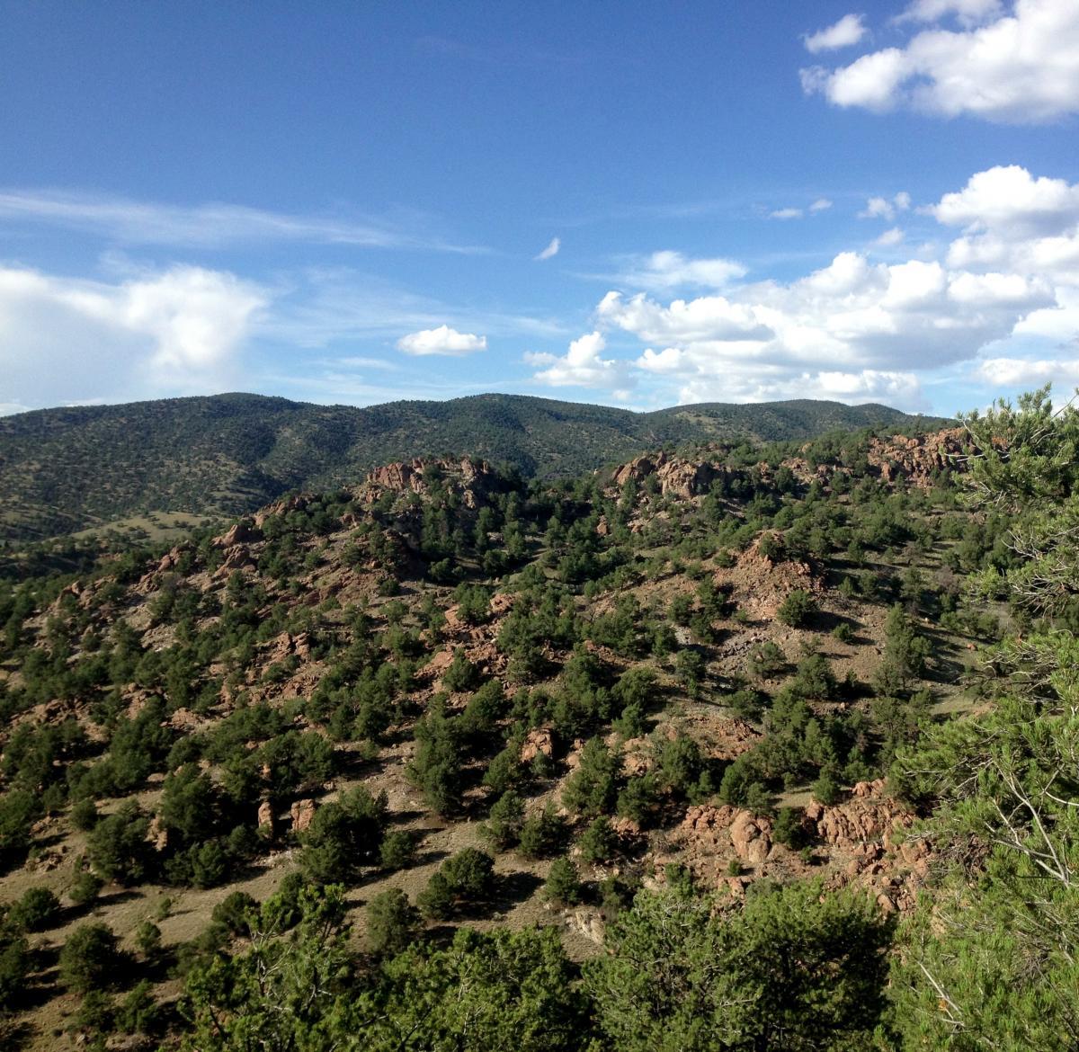 A panoramic view of rolling hills covered in greenery and rocky outcrops under a bright blue sky with scattered clouds. The landscape features a mix of trees and rocky terrain, creating a serene natural scene. North Backbone mountain bike trail.