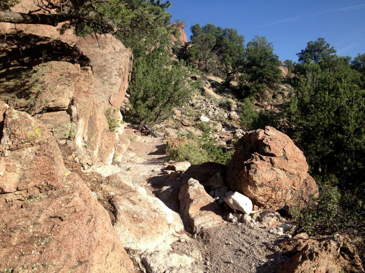 A rocky hiking trail winding through a forested area, with large boulders and patches of greenery under a clear blue sky. North Backbone mountain bike trail.