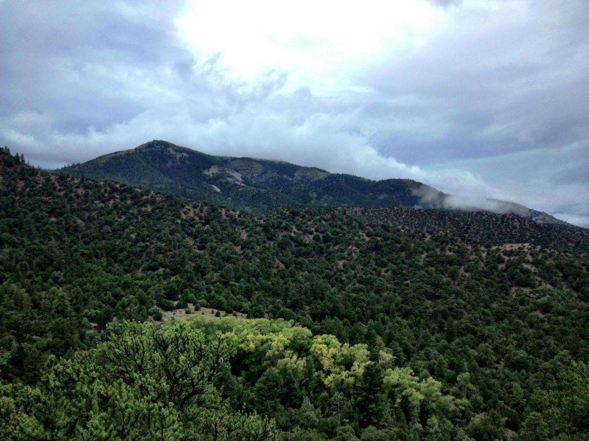 A scenic view of lush green mountains under a cloudy sky, with mist swirling around the peaks. The foreground features dense vegetation, hinting at the rich biodiversity of the area. The overall atmosphere evokes a sense of tranquility and natural beauty. Double Rainbow mountain bike trail.