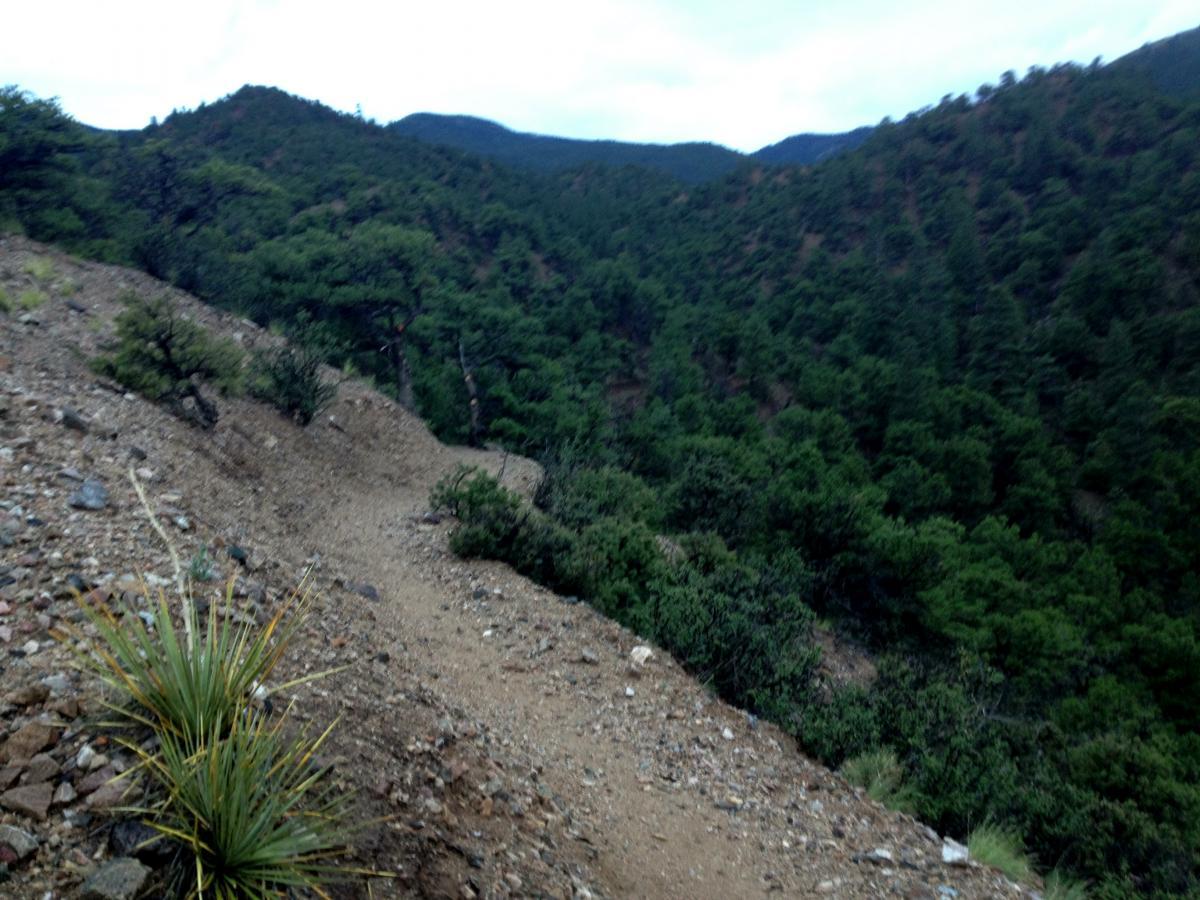 A winding dirt trail meanders along a hillside, flanked by rocky terrain and sparse vegetation. Lush greenery spreads across the valley below, with hills and mountains rising in the background under a cloudy sky. Double Rainbow mountain bike trail.