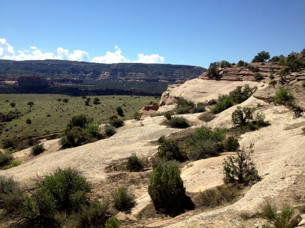 A panoramic view of a rocky landscape with gentle slopes and sparse vegetation. In the foreground, light-colored rock formations are dotted with small shrubs and bushes. In the background, distant hills and cliffs are visible under a clear blue sky with a few scattered clouds. The scene captures the natural beauty of a rugged outdoor setting. Mary's Loop / Horsethief Bench mountain bike trail.