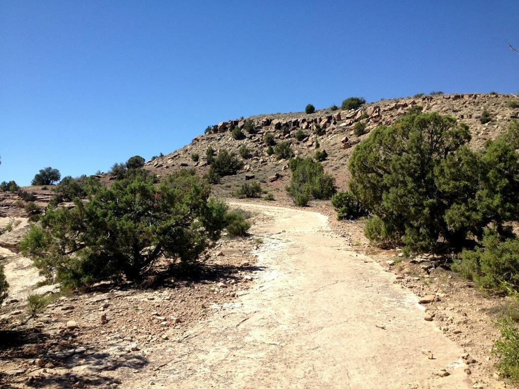 A winding dirt path leading up a rocky hillside, surrounded by sparse vegetation and shrubs under a clear blue sky. Mary's Loop / Horsethief Bench mountain bike trail.