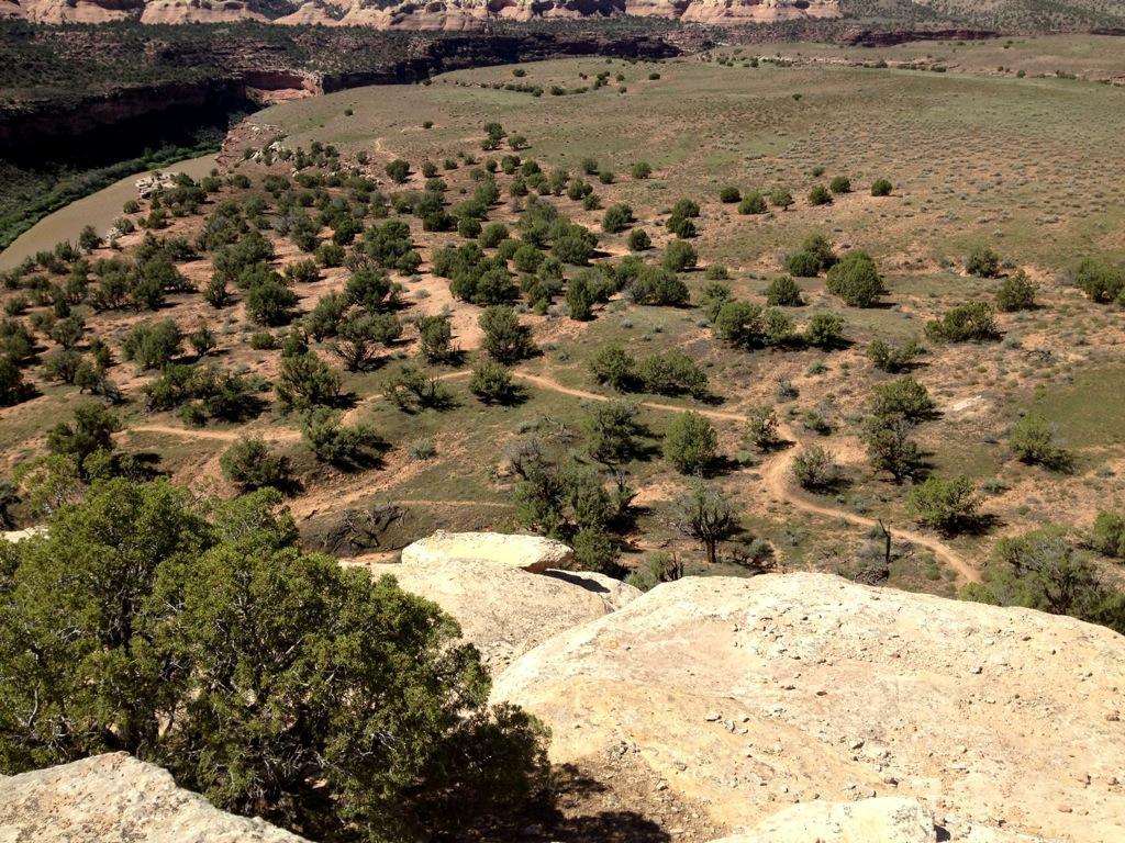 Aerial view of a rugged landscape featuring scattered green bushes and trees, a winding dirt path, and a river flowing through a rocky terrain in the background. The scene captures the natural beauty of a desert-like environment under bright sunlight. Mary's Loop / Horsethief Bench mountain bike trail.
