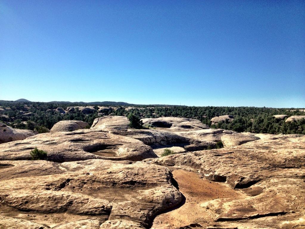 A wide view of a rocky landscape with smooth, rounded rock formations set against a clear blue sky. In the background, rolling hills are visible, partially covered by patches of green trees. Gooseberry Mesa mountain bike trail.
