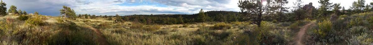 A panoramic view of a serene landscape featuring rolling hills covered in golden grass and scattered shrubs. Tall pine trees are present throughout the scene, with a trail winding through the foreground. The sky is partly cloudy with soft sunlight illuminating the area, creating a tranquil atmosphere. Curt Gowdy State Park mountain bike trail.