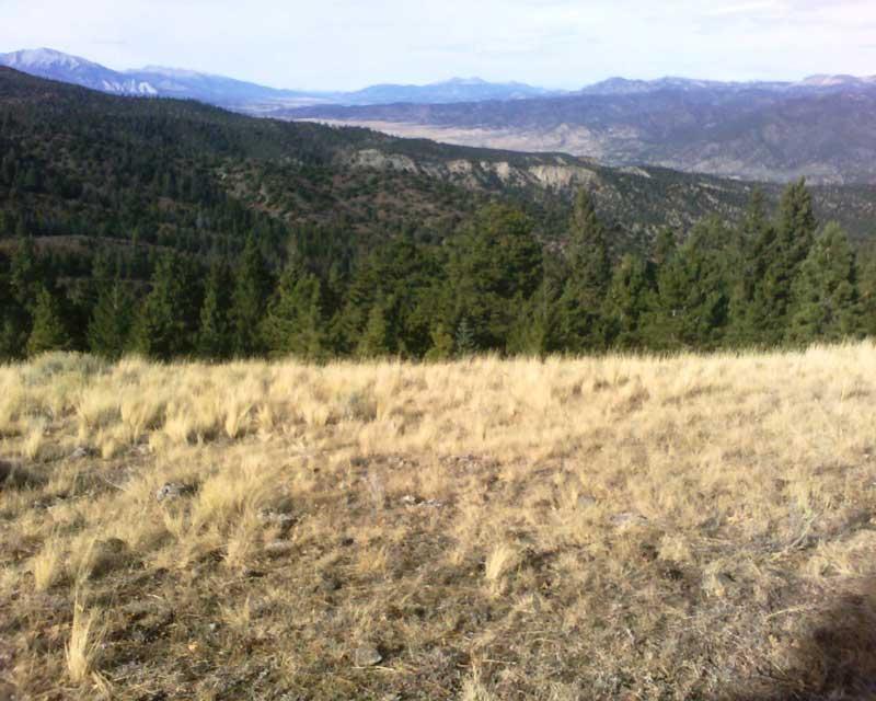 A scenic view of a grassy hillside transitioning into a densely wooded area, with mountains in the background under a partly cloudy sky. The foreground features dry grass and rocky terrain, while the landscape slopes down to reveal layers of green trees and distant mountains. Rainbow Trail: Methodist Mountain Thd to Bear Creek Thd mountain bike trail.