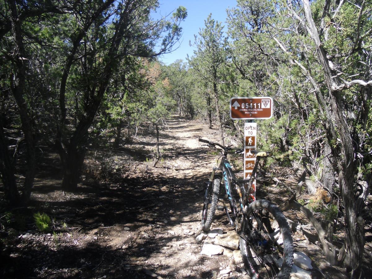 A mountain bike is leaning against a trail sign on a dirt path surrounded by trees. The sign indicates the trail name "Birdhouse Ridge" and shows icons for activities such as hiking and biking. Sunlight filters through the foliage, creating a natural, outdoor scene. Tunnel Canyon mountain bike trail.