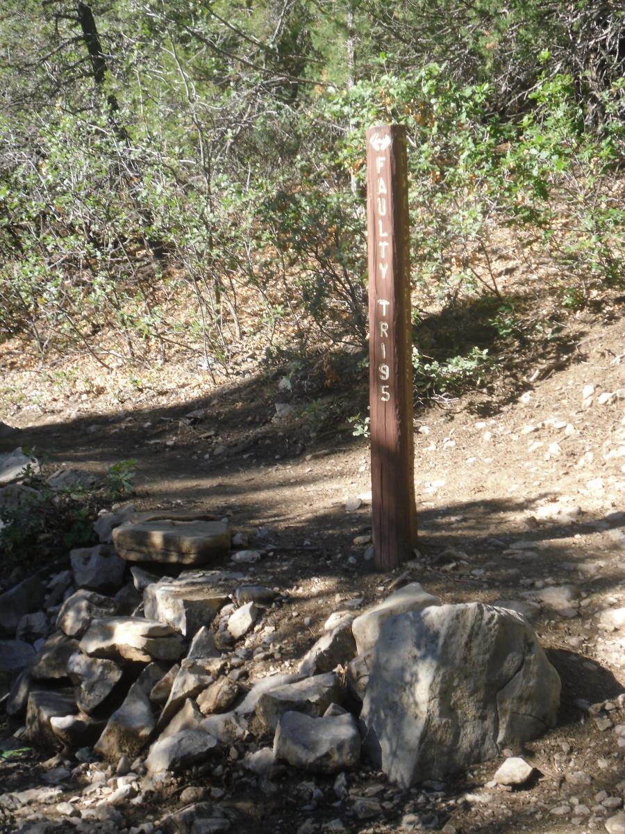 A wooden trail sign labeled "Faulty Trail 95" located in a forested area, surrounded by shrubs and rocky terrain. The ground is uneven, with several large rocks visible. Faulty Trail mountain bike trail.