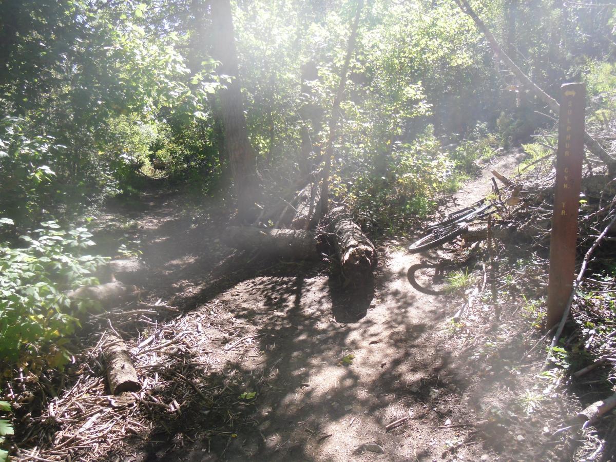 A sunlit dirt trail surrounded by dense greenery, featuring fallen logs and a mountain bike lying on its side. A trail marker indicating "Sulphur N. Trail" is visible on the right. The scene conveys a sense of nature and adventure. Faulty Trail mountain bike trail.