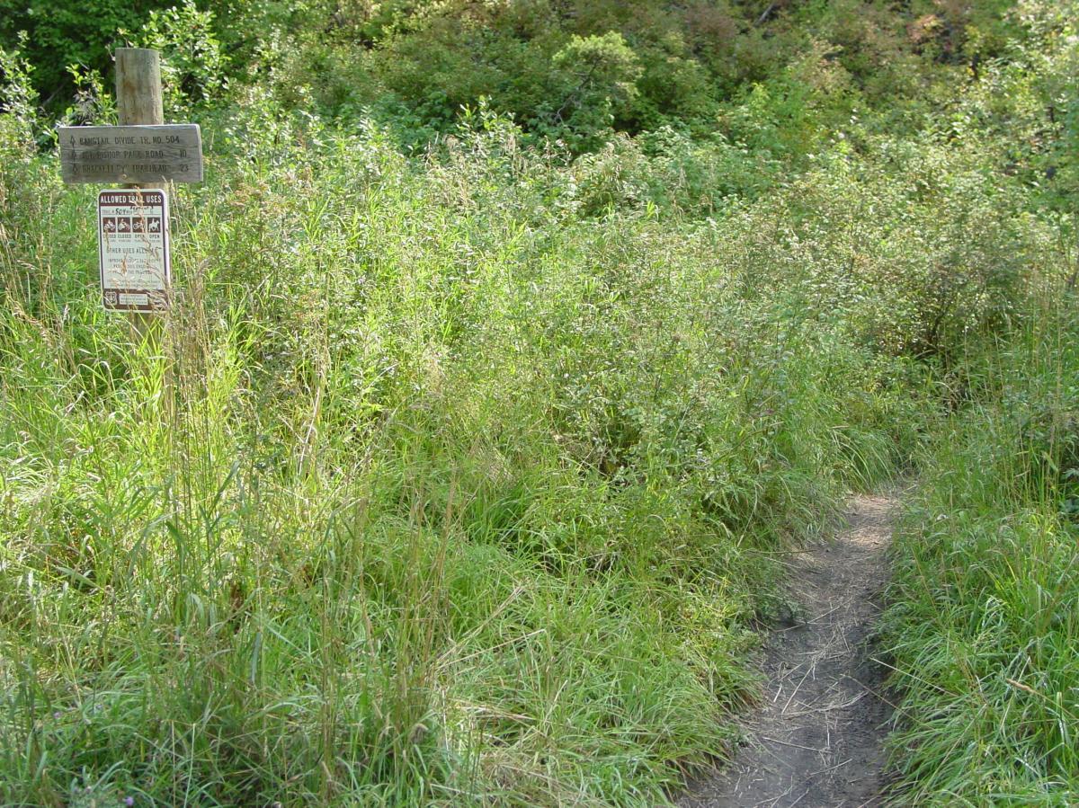 A narrow dirt path leading into a lush, overgrown area, with a wooden signpost indicating trail information. The sign features text and symbols regarding trail usage and regulations, surrounded by tall grass and small shrubs. Bangtail Divide mountain bike trail.