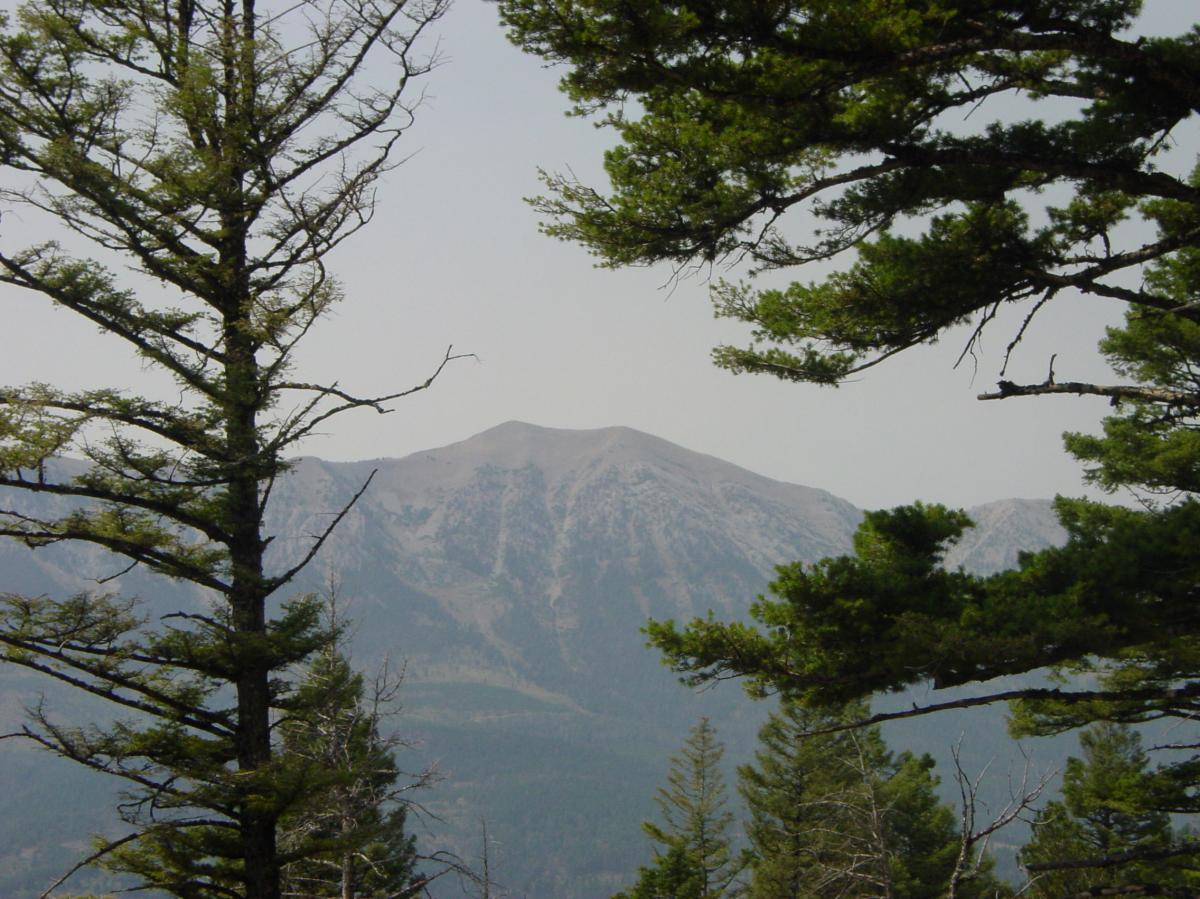 A mountain peak is visible in the background, framed by tall evergreen trees. The landscape features a mix of green foliage and rocky terrain, with a clear sky above, creating a serene natural scene. Bangtail Divide mountain bike trail.