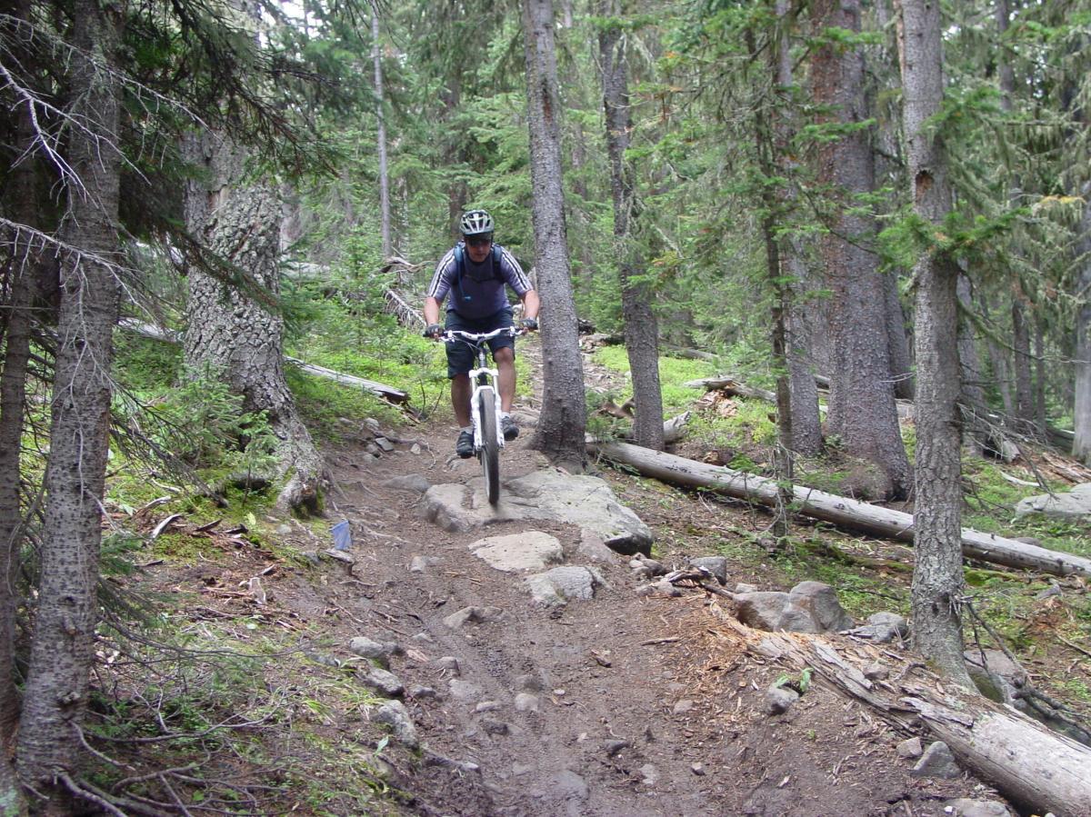 A mountain biker navigates a rocky trail surrounded by tall trees and lush greenery in a forested area. Green's Creek mountain bike trail.