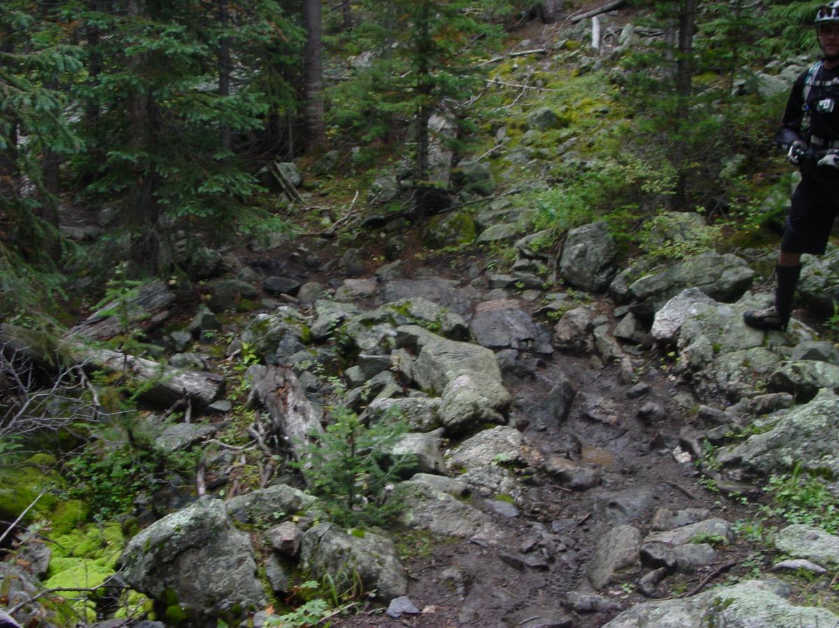 A rocky trail surrounded by dense trees and greenery, with a person in biking gear standing on the right side of the image. The path is uneven and covered with rocks and mud, suggesting a challenging outdoor environment. Green's Creek mountain bike trail.