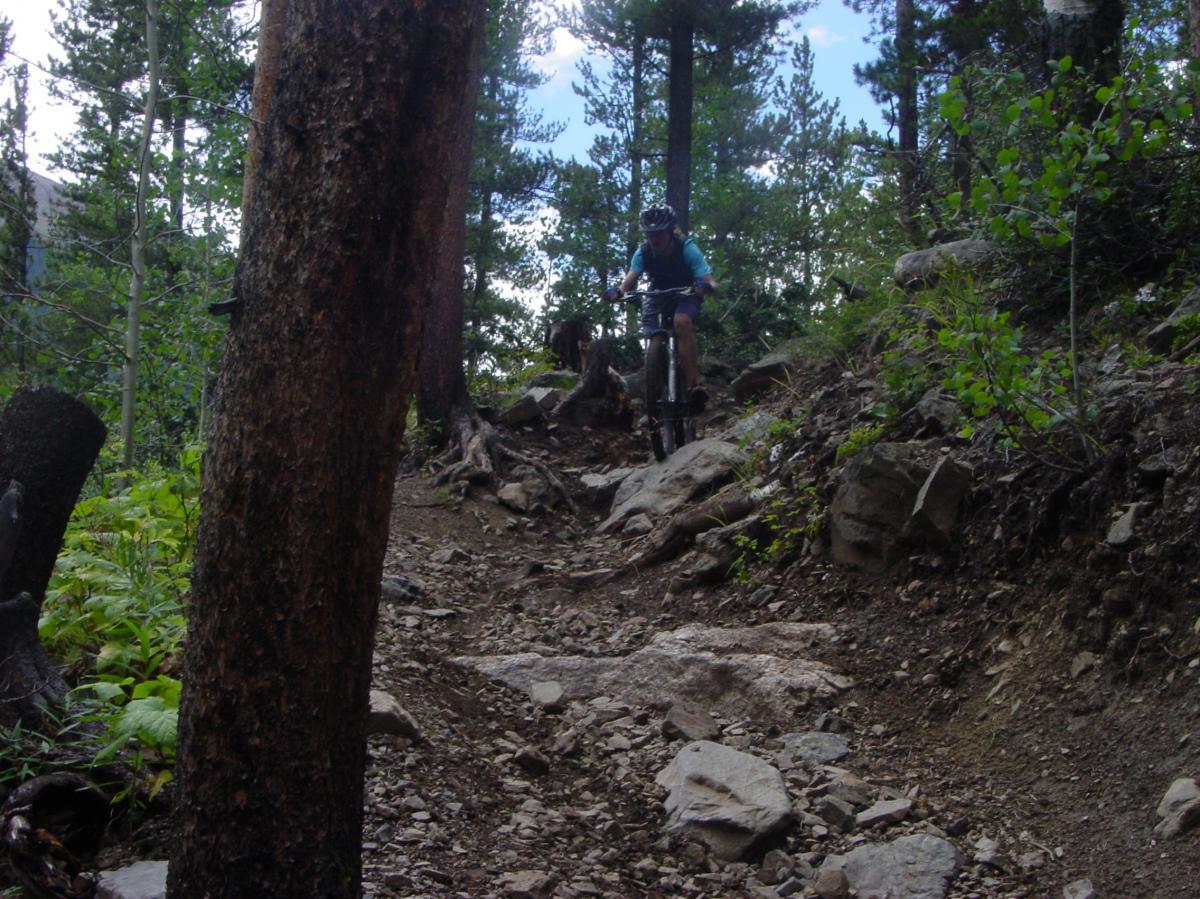 A mountain biker navigating a rocky trail surrounded by tall trees and greenery in a forested area. The trail features uneven terrain with roots and large stones, illustrating the challenges of off-road biking. Green's Creek mountain bike trail.