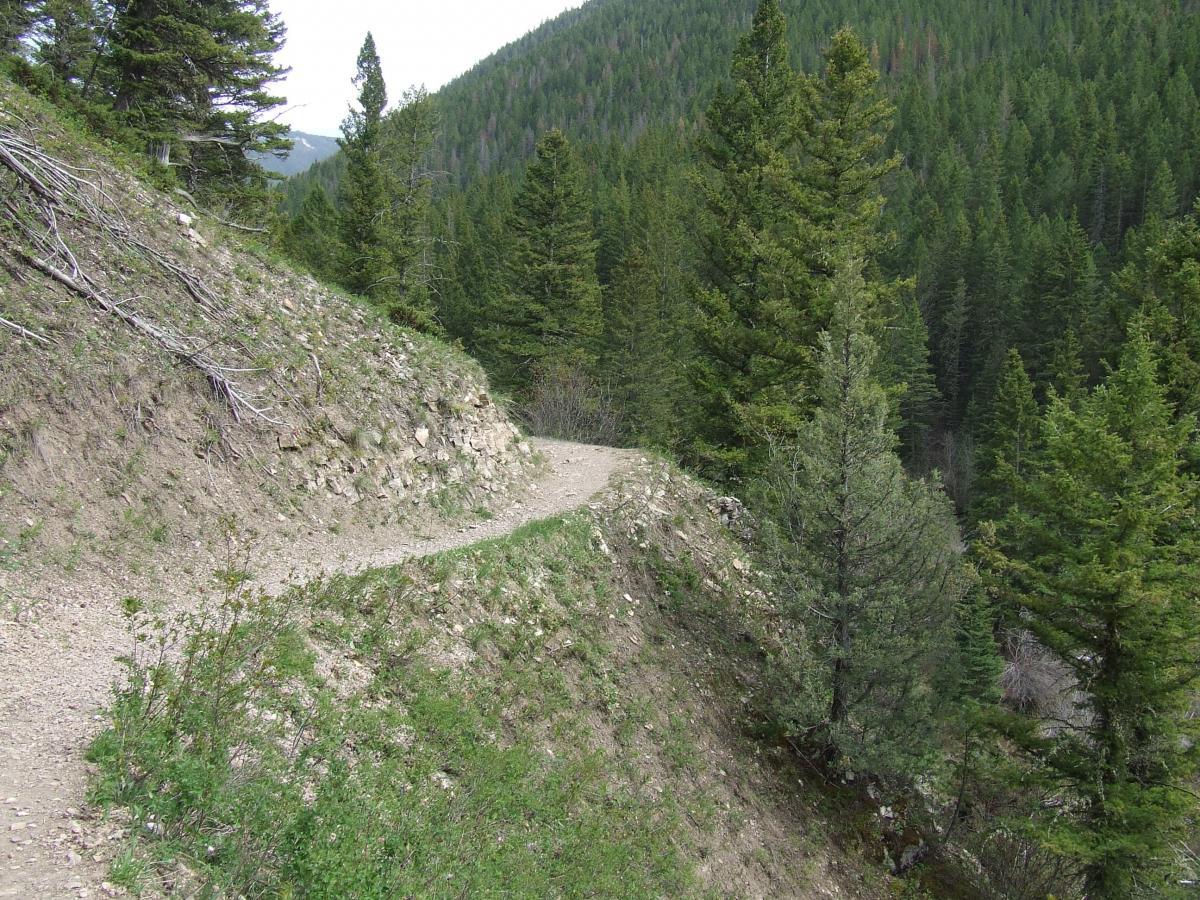A winding gravel path along a hillside, surrounded by lush green trees and mountainous terrain in the background. The trail curves gently, offering a scenic view of the dense forest. South Cottonwood mountain bike trail.