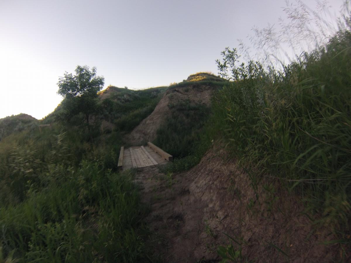 A wooden bridge leading through tall grass and vegetation, situated in a hillside landscape under a clear sky. The scene features a small tree near the bridge, surrounded by gentle slopes and greenery. Long X mountain bike trail.
