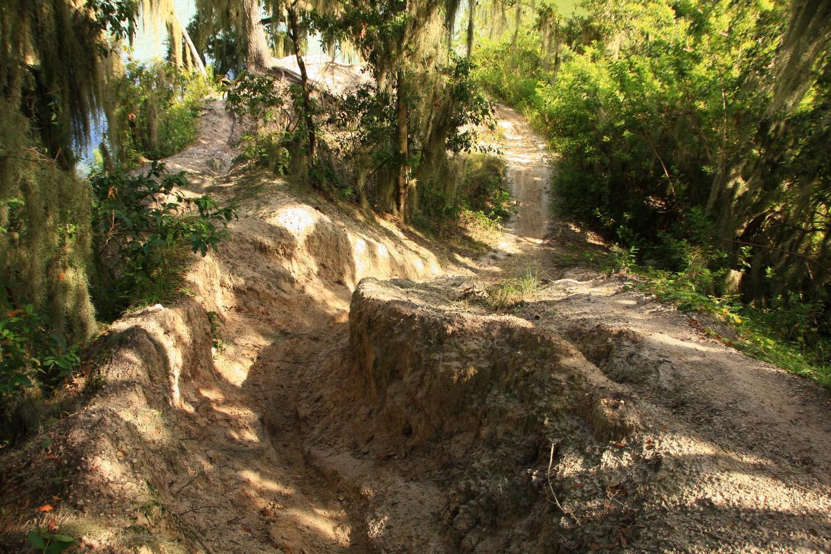 A winding, dirt trail surrounded by lush greenery and Spanish moss, leading down a slope toward a body of water. The path is uneven, showing signs of erosion, with sandy soil and small rocks visible along the edges. Sunlight filters through the trees, creating a warm and inviting atmosphere. Loyce E. Harpe Park mountain bike trail.
