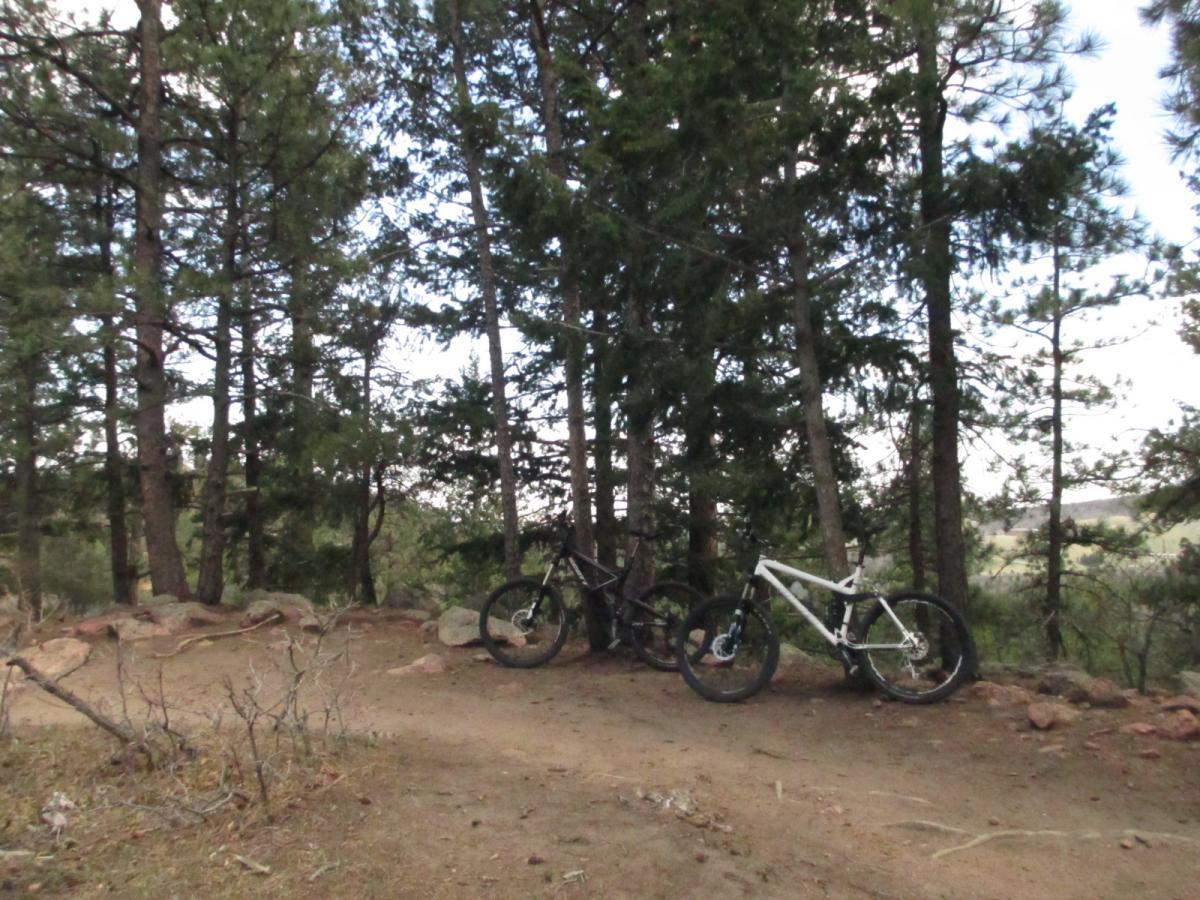 Two mountain bikes, one black and one white, are propped against a rocky area surrounded by tall pine trees. The image captures a serene, natural setting, with a dirt path leading into the woods and a glimpse of green hills in the background. Falcon Trail mountain bike trail.