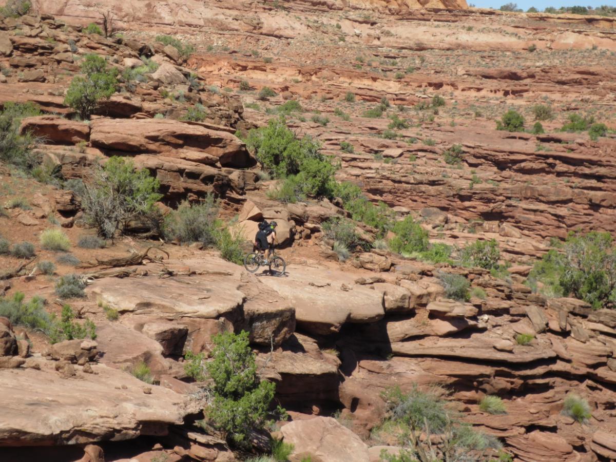 A mountain biker navigating rocky terrain surrounded by shrubs and small trees in a desert-like landscape. The scene features layered rocks and a clear blue sky in the background. Captain Ahab mountain bike trail.