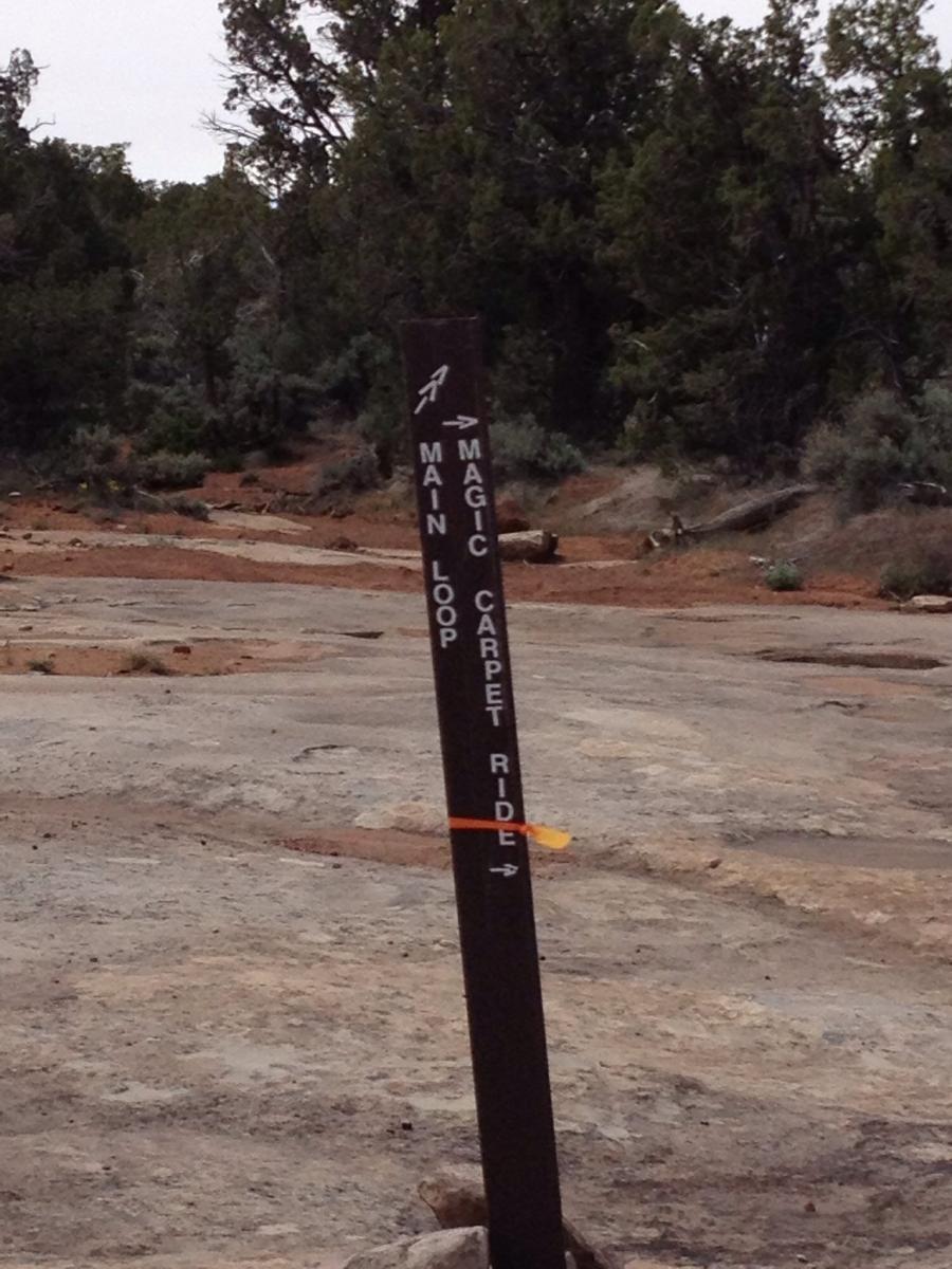 Rocky Mountain Slayer SXC 70: Signpost indicating trail directions with arrows pointing to "Main Loop" and "Magic Carpet Ride," surrounded by natural terrain with shrubs and rocky surface.