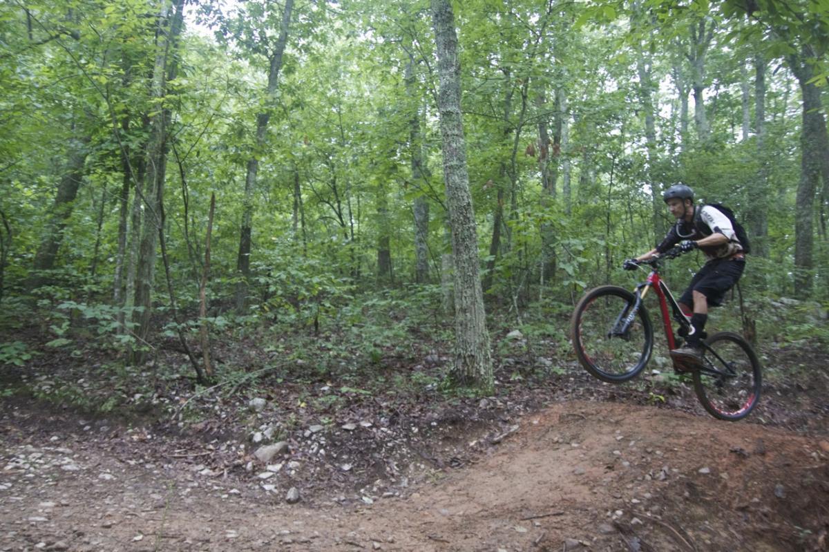 A mountain biker performing a jump on a trail surrounded by dense green trees and foliage. The biker is airborne with the bike's front wheel lifted off the ground, showcasing an action-packed moment in a natural outdoor setting. Coldwater Mountain mountain bike trail.