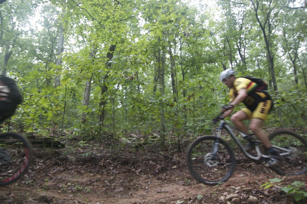 A mountain biker rides along a dirt trail in a dense forest, surrounded by lush green foliage. The scene captures the motion of the cyclist, who is wearing a yellow and black cycling outfit and a helmet, as they navigate through the natural landscape. Coldwater Mountain mountain bike trail.