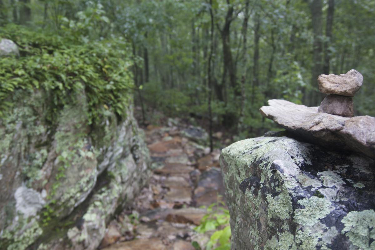 A close-up view of stacked rocks on a moss-covered boulder in a lush, green forest. The background features a winding path made of stones, surrounded by dense trees and ferns, with a soft, natural light filtering through the foliage. Coldwater Mountain mountain bike trail.