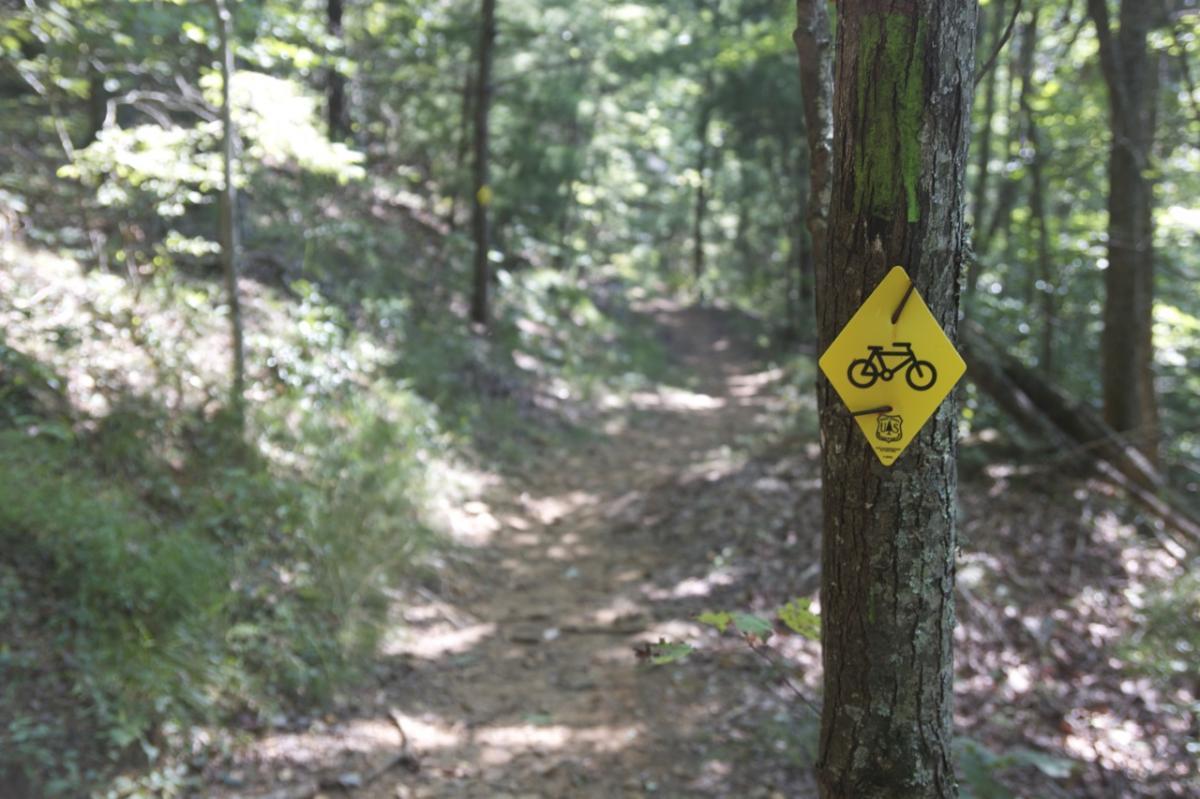 A mountain biking trail sign on a tree, featuring a yellow diamond shape with a bicycle icon, amidst a wooded path in a green forest. The trail is unpaved and slightly winding, surrounded by lush foliage. Aska Trail System mountain bike trail.