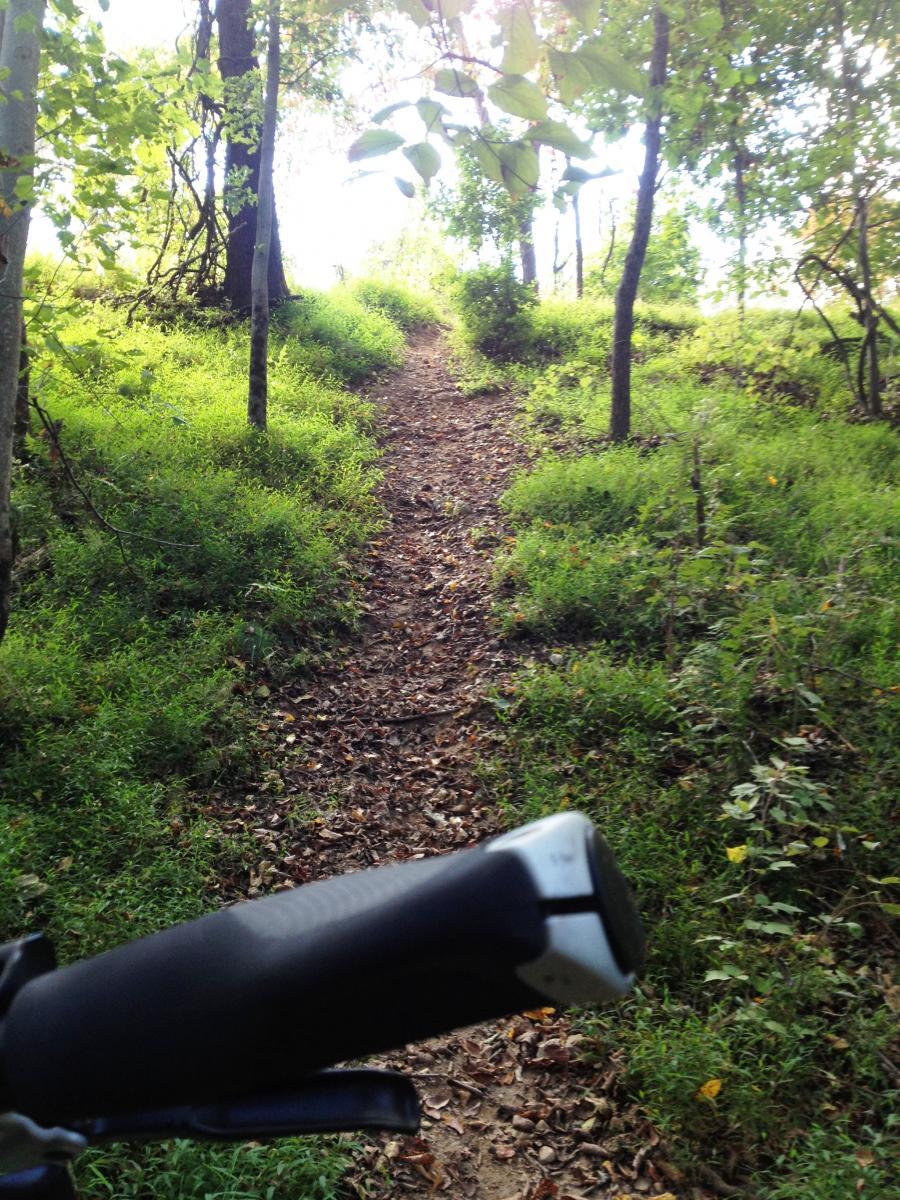 A scenic view of a dirt trail winding through a lush, green forest. The path is surrounded by trees and foliage, with soft sunlight filtering through the leaves. In the foreground, part of a bicycle handlebar is visible, suggesting an adventurous outdoor experience. Valley Forge Park River Trail mountain bike trail.