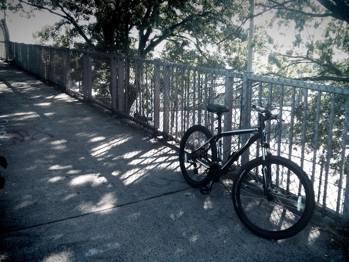 Specialized Hardrock Disc: Black bicycle parked on a concrete pathway surrounded by a chain-link fence, with dappled sunlight filtering through the trees overhead.