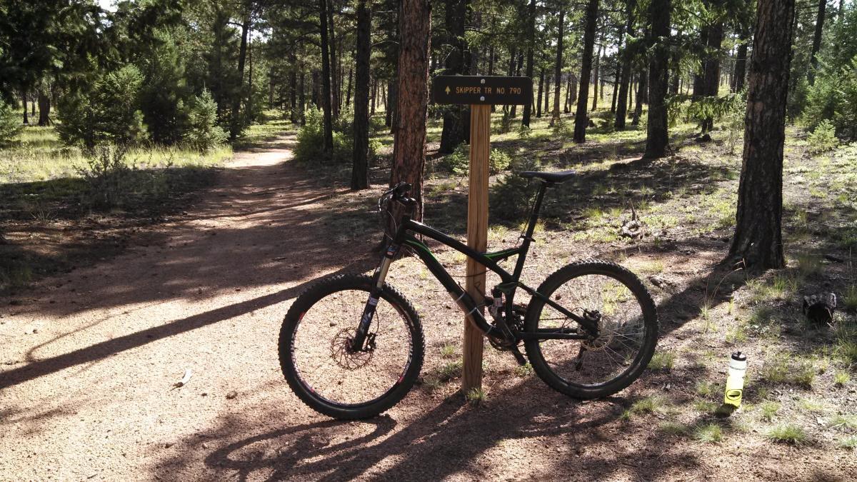A mountain bike is parked next to a trail sign indicating "Skipper Trail No. 790" in a forested area. The dirt path leads into a sunny, green landscape filled with trees, with a water bottle resting on the ground nearby. Skipper mountain bike trail.