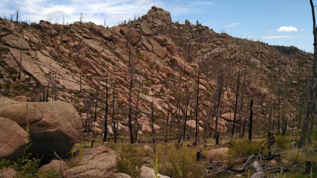 A rocky hillside with large boulders and sparse vegetation. Blackened tree stumps indicate a previous wildfire, while patches of grass and plants are visible in the foreground. The sky is partly cloudy, creating a contrast with the rugged landscape. Blackjack / Raspberry Ridge mountain bike trail.