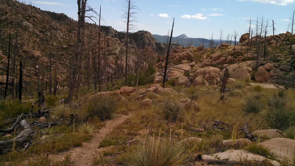 A winding path through a rocky landscape, with patches of grass and dried vegetation, surrounded by charred trees and large boulders. In the background, distant mountains can be seen under a partly cloudy sky. Blackjack / Raspberry Ridge mountain bike trail.