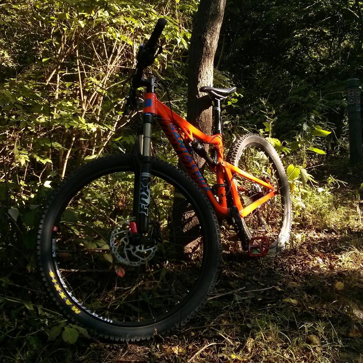 Santa Cruz 5010: A vibrant orange mountain bike leaning against a tree in a lush forest setting, surrounded by greenery and dappled sunlight. The bike features thick tires suitable for rough terrain and is positioned on a dirt path.