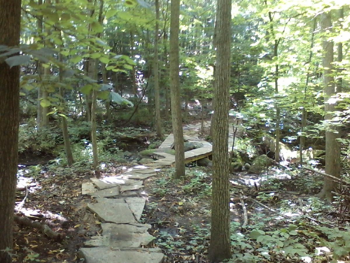 A serene wooded area featuring a stone pathway leading to a wooden bridge over a small stream, surrounded by lush green trees and foliage. Sunlight filters through the leaves, creating a peaceful atmosphere. Merrell Trail mountain bike trail.