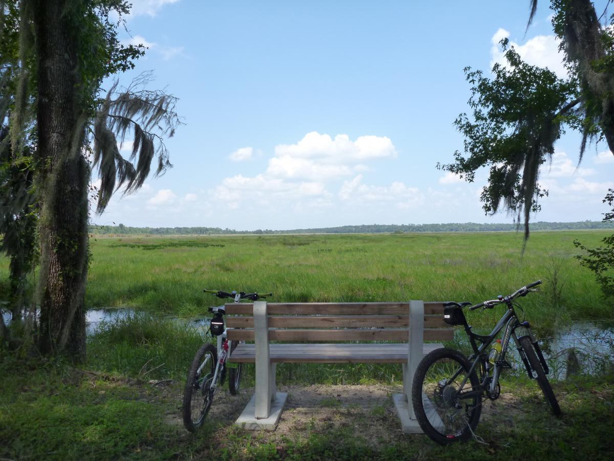 A serene view of a wooden bench facing a lush green marsh landscape, with two bicycles parked on either side. The scene is framed by trees adorned with Spanish moss under a bright blue sky scattered with fluffy clouds. Barr Hammock Preserve mountain bike trail.