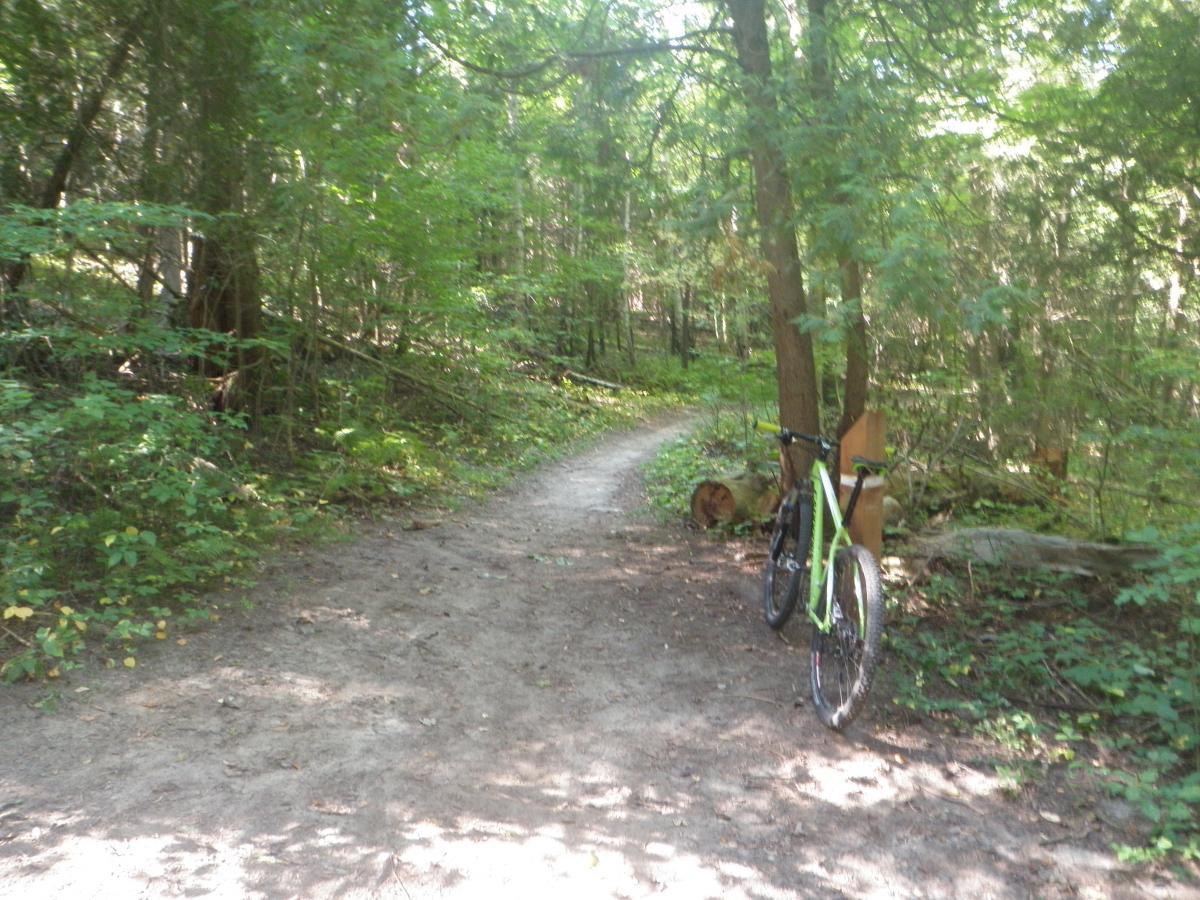 A mountain bike leaning against a wooden signpost along a dirt path in a lush green forest. Sunlight filters through the trees, highlighting the vibrant vegetation on either side of the trail. Palgrave Trail mountain bike trail.