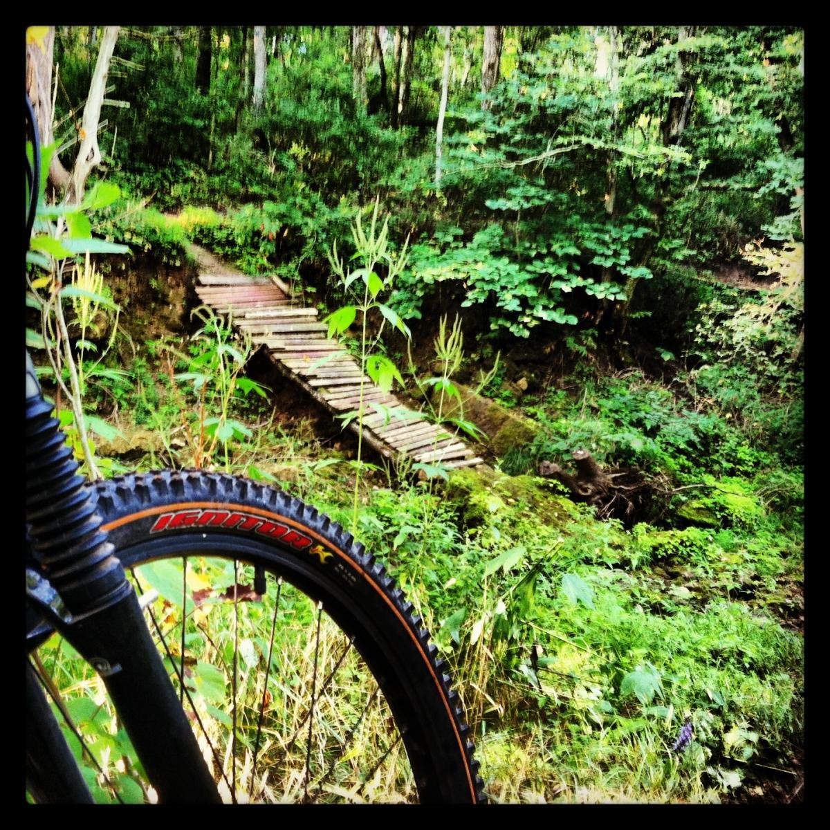 A close-up view of a mountain bike tire in the foreground, with a rustic wooden bridge crossing a small ravine in a lush green forest setting. Tall plants and trees surround the area, creating a serene outdoor atmosphere. FDR Park mountain bike trail.